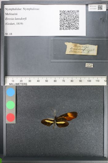 Media type: image;   Entomology 100897